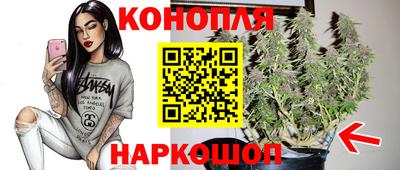 Альфа ПВП Дубна