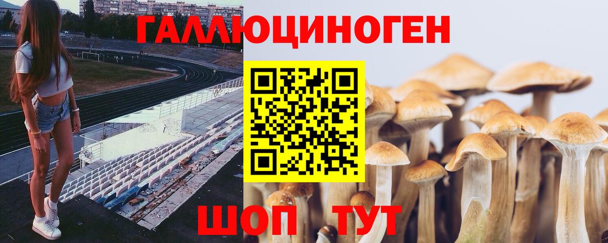 Галлюциногенные грибы ЛСД Горячий Ключ