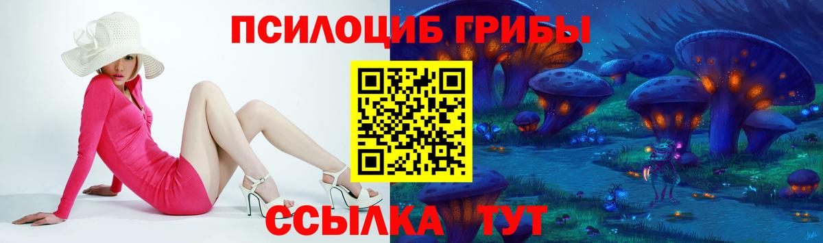 Псилоцибиновые грибы Psilocybine cubensis  Вход с VPN  Горячий Ключ 