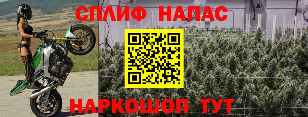Горячий Ключ  Канабис Bruce Banner  Бошки марихуана конопля  Вход с VPN  Конопля марихуана 